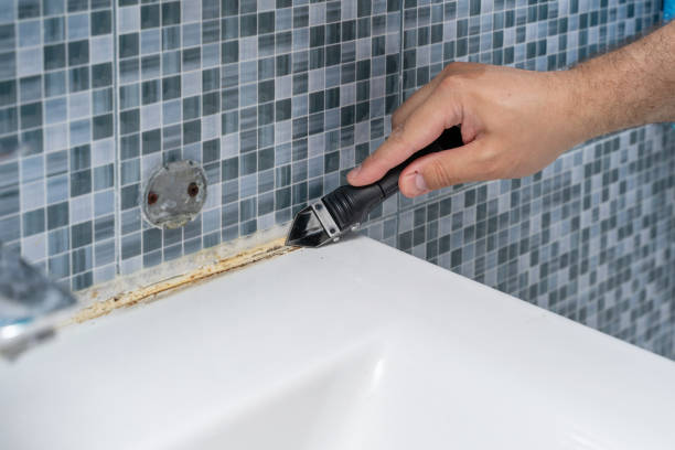 Best Residential Mold Removal  in Sunset Hills, MO