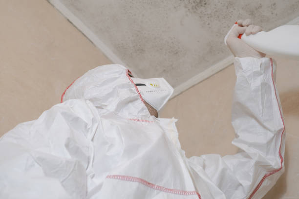 Best Mold Cleaning Services  in Sunset Hills, MO